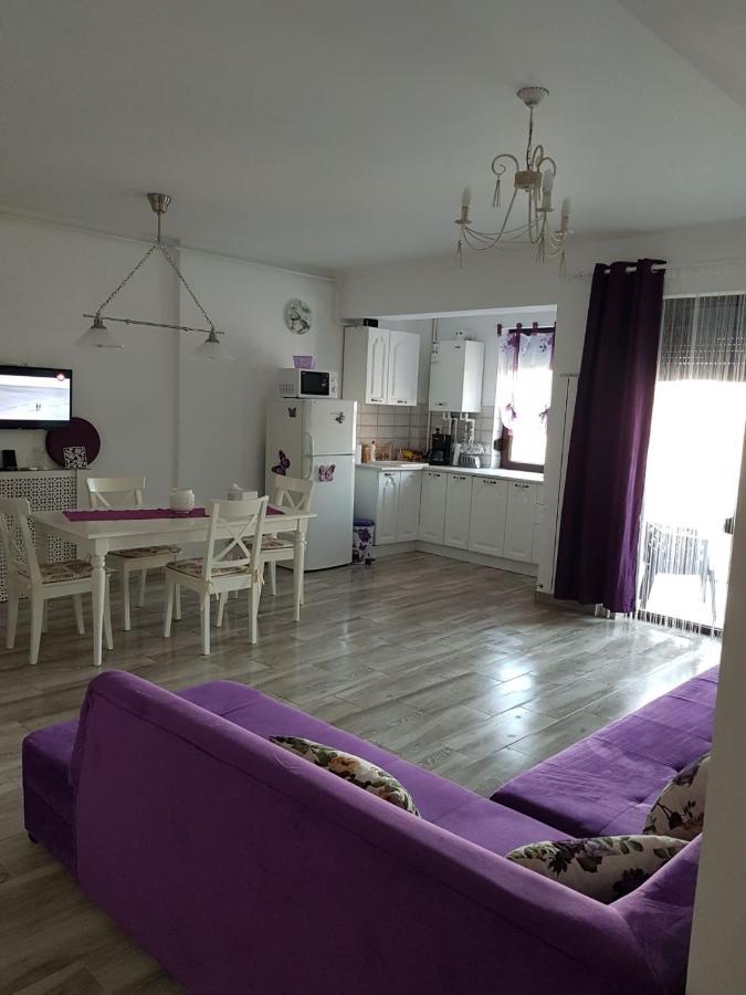 Apartament Andy Mamaia Nord 30 M De Plaja Năvodari Eksteriør billede